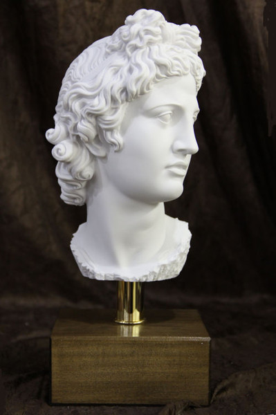 Head of Apollo Belvedere on Base Bust Statue God of the Hunt